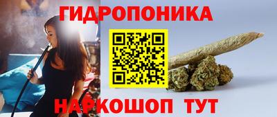 ECSTASY Донской