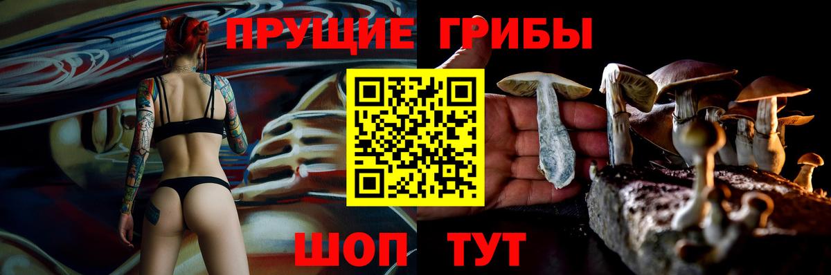 Псилоцибиновые грибы Psilocybine cubensis  Псилоцибиновые грибы Psilocybine cubensis  Минусинск  Вход с VPN 